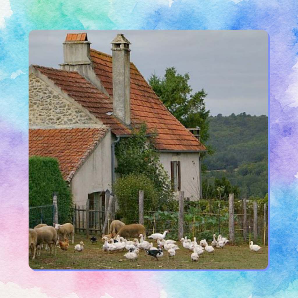 Les animaux de la ferme